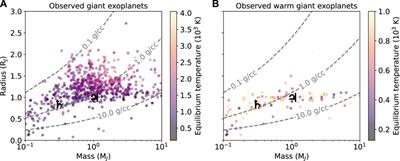 Warm giant exoplanet characterisation: current state, challenges and outlook